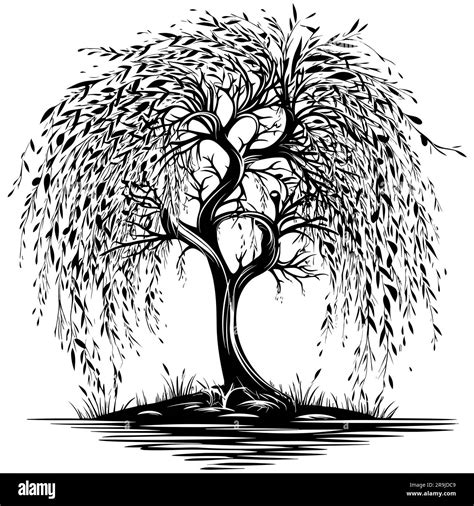 tree black and white art